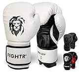 FIGHTR® Boxhandschuhe - ideale Stabilität & Schlagkraft | Punching Handschuhe für Boxen, MMA, Muay Thai, Kickboxen & Kampfsport | inkl. Tragetasche (Weiß / Schwarz, 14 oz)