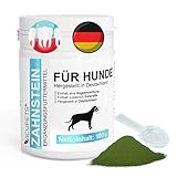 Vicupets Zahnsteinentferner Hund | 100g Zahnpulver für Hunde | Prophylaktische Zahnpflege Hund gegen Mundgeruch | 100% Natürliches Pulver |