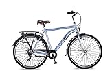 Hoopfietsen 28 Zoll Cityrad Herren Altec Travel 7 Gänge Grau 58 cm Rahmengröße