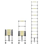 Froadp 380cm Alu-Teleskopleiter Multifunktion Anlegeleiter Mehrzweckleiter 13 Sprossen Gefaltete Höhe 87cm Hochwertigem Aluleiter 150 kg Belastbarkeit(Silber)