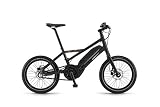 Winora Radius Plain 400Wh Elektro Fahrrad/20R Urban eBike 2017 (Schwarz matt/Kupfer, 35)
