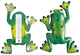 Fenster-Thermometer Frosch