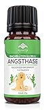 PHARMA HEALTH Angsthase Globuli | Angst | Silvester | Tierarztbesuch | Alleine bleiben | 10g