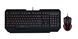 Rapoo VPRO V100 beleuchtete Gaming Tastatur und Maus (3000 DPI, Combo Set, Multi-color Beleuchtung, Anit-Ghosting, On-Board Speicher, programmierbare Tasten, QWERTZ deutsches Layout) schwarz