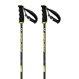 Fischer RC4 CF Stock 20/21 Länge: 125