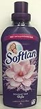 Softlan Bouquet der Düfte Magnolie & Lavendel Weichspüler 6 x 650ml