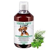 Magen+Darm Vital Darmsanierung für Hunde - Darmflora aufbauen mit Probiotika z.B nach Wurmkur, Antibiotika & Krankheit - Darmkur Hund stärkt Verdauung getreidefrei bei Durchfall & Allergie 250ml