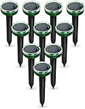 Alma Garden 10er Set Maulwurfschreck - Abwehr für Maus, Maulwurf, Nagetier & Co. Vertreiber