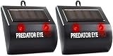 ASPECTEK Animal Repeller Predator Eye Pro Solarbetriebene Nachtschrecken Nachtschutz Schutz vor Nachttieren, Vögeln, Waschbären, Eulen, Wölfen, Hirschen, Füchsen, Hunden, Katzen, Black Solar