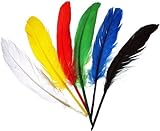 efco Federn Indianerfedern, Mehrfarbig, 12 – 15 cm, 20 Stück
