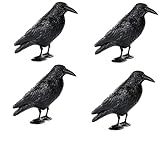 Hillfield 4X Vogelschreck Rabe
