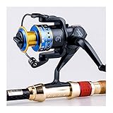 Spinning-Rollen Mitchell Fishing Reel Wire Cup Personalisierte Farbe Oberlicht Design Glatt 12 Lager Doppellagersystem Austauschbare Kipphebel (Color : Black, Size : 2000)