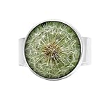 Pusteblumen-Ring, Geschenk für sie, Löwenzahn, PGlass Hoto Schmuck