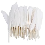 ERGEOB Gans Federn 100 stück Naturfedern 10-15cm/4-6 Zoll Länge für Art Design Basteln Karneval Rosen Montag Halloween Fest versch. Farben