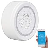 VisorTech WiFi Sirene: WLAN-Alarm-Sirene mit App, kompatibel mit Alexa, Siri & Google Assistant (Sirene Elesion)