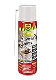 COMPO Ameisen-Spray N, Insektenspray, 400 ml