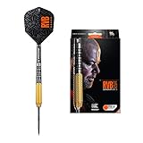 Target Darts Raymond Van Barneveld RVB 95 2. Generation 21G 95% Wolfram Steeldarts-Set Dartpfeile 21G Gold, Schwarz and Silber