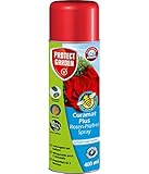 PROTECT GARDEN Curamat Plus Rosen-Pilzfrei Spray (ehem Bayer Garten Baymat), anwendungsfertiges Fungizid gegen Pilzkrankheiten an Rosen und Zierpflanzen, 400 ml