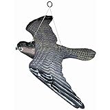 Vogelschreck 'fliegend' Vogelscheuche Raubvogel Falke hängend, 54 cm