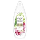 Dove Pflegegeheimnisse Pflegedusche Erfrischendes Sommer Ritual Limited Edition mit Aloe Vera - und Rosenwasserduft, 250 ml