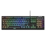 Sharkoon Skiller SGK30 Blue, Mechanische Gaming Tastatur (mit RGB Beleuchtung, Blaue Schalter, N-Key-Rollover, 1000 Hz Polling Rate), 4044951030026