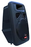 E-Lektron JP30 DJ PA Lautsprecher Box Passiv 30CM/12 Basslautsprecher