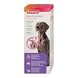 beaphar CaniComfort Wohlfühl-Spray, Beruhigungsmittel für Hunde mit Pheromonen, 60 ml