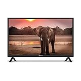 STRONG SRT24HC4023 24“ LED Fernseher für Wohnmobile mit DVB-T2 HD, Triple Tuner und 12 Volt Anschluss (HD, HDMI, USB, EPG, CI+, DVB-T Antenne, Hotel Modus, DVB-T/T2/C/S2, Freenet), schwarz