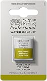 Winsor & Newton 0101447 Professional Watercolours (feinste Künstler Aquarellfarbe - 1/2 Näpfchen höchstmöglicher Pigmentierung, ausgezeichneter Lichtechtheit) olivgrün