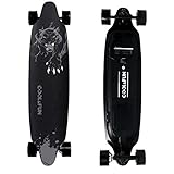 COLORWAY HB10 Elektro-Longboard Elektro Skateboard E Skateboard für Erwachsene & Jugendliche 2019