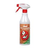 Envira Holzwurm-Spray - Holzwurm Ex Gegen Holzschädigende Insekten Mit Langzeitschutz - Auf Wasserbasis - 500 ml