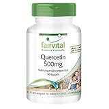 Quercetin 500mg Kapseln- HOCHDOSIERT - VEGAN - 90 Kapseln - Antioxidans