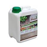 Biologischer Holzschutz HAresil Argentum 2,5l Holzschutzlasur schützt vor Pilze, Holzwurm, Holzwurmfrei, Holzschädlinge, Holzwurmschutz, Holzwurmstopp, Holzschutz, Pilzbekämpfung, für Innen und Außen. Ungiftig, biologisch, und Biozidfrei. mineralisch und natürlich