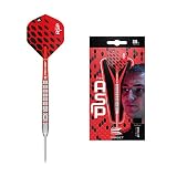 Target Darts Nathan Aspinall 80 80% Wolfram Steeldarts