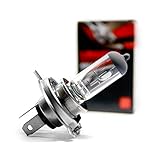 10 x PX43t HS1 Motorrad Auto Halogen Lampen Glühlampe 60/55W Birnen 12V