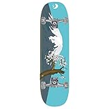 Best Sporting Skateboard Mountain Arts Komplettboard ABEC 3, belastbar 100 kg (blau)