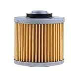 B Blesiya 1 STK. Ölfilter Motorrad Benzin Inline Kraftstofffilter Motorrad Ersatz Benzinfilter für Yamaha Xvs1100a V Star