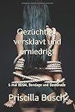 Gezüchtigt, versklavt und erniedrigt: Sammelband 5 mal BDSM, Bondage und Bastonade