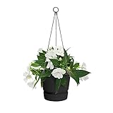 elho greenville Hanging Basket 24 – Hängender Blumentopf in Living Black mit Wasserreservoir für den Outdoor-Bereich – Runder, frostbeständiger Topf – Ø 23,9 x H 20,3 cm