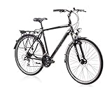 Tretwerk Solis 2.0 28 Zoll Trekkingbike Schwarz (2020) 60cm, XL