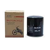 Ahl Motorrad Ölfilter für Xl883R Sportster 54 CI 2002 – 2007/Roadster 54 CI 2012