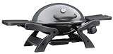 LANDMANN 12058 - Kompaktgasgrill, automatische Piezozündung