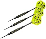 XQMAX Brass Darts Geschenkset Michael van Gerwen, u.a. 3 Barrels, Soft/Steel Tips uvm.