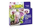 Compo Orchideen-Aufbaukur für alle Orchideen-Arten, 4 Wochen Langzeitwirkung, 5 Ampullen je 30 ml
