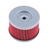 B Blesiya Ölfilter für Honda TRX250, CBF250, TRX300 TRX450 S/SE Fourtrax Foreman