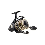 Penn 8000 Spin Reel Box Battle II, schwarz, S, 1338222