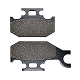 AHL Motorrad Bremsbeläge hinten für Yamaha YFM 700 RV/RW/RX/RY Raptor 2006-2010