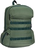Amazon Basics - Rucksack aus Canvas für Laptops bis 15 Zoll / 38 cm, Waldgrün