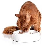 Lucky-Kitty Neu Katzennapf aus Keramik M (ø 18cm)