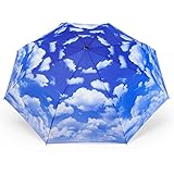 Taschenschirm Automatik Regenschirm Motiv Wolken Rosemarie Schulz Heidelberg
